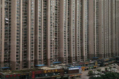 福星惠誉福星城北区全解析 居住体验、优缺点及周边中介口碑