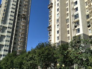 东惠家园 天津河东区的居住考量与中介视角解读